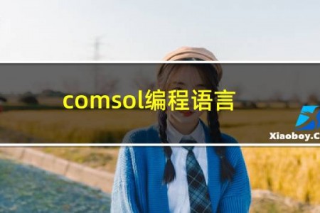 comsol编程语言