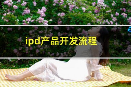 ipd产品开发流程